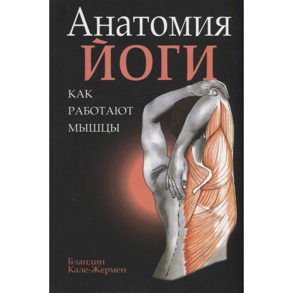 Анатомия йоги: как работают мышцы Анатомия йоги: как работают мышцы
