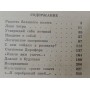 "...і срібний іній..." Жук С.