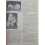 Дзю-до Ессінк Х.