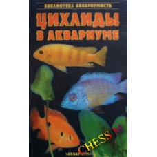 Цихліди в акваріумі