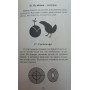 Наукові фокуси та загадки Перельман Я.
