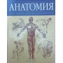 Анатомія. Посібник для художників Фрімантл Д.