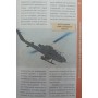 Бойовий вертоліт АН-1 "Кобра" Нікольський М.