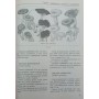 Все про гриби Гаврилов А.