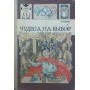 Чудеса на вибір, або Хімічні досліди для новачків Ольгин О.