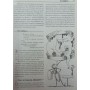 Енциклопедія помилок. Харчування Мазуркевич С.