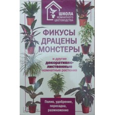 Фікуси, драцени, монстери та інші декоративно-листяні кімнатні рослини Костіна-Кассанеллі Н.