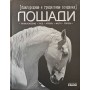 Коні - милостиві та граціозні створіння Шейкіна О.