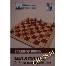 Шахи. Робота над помилками Попов В.