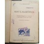 Міттельшпіль: комбінація і план у шаховій партії Романовський П. 1929