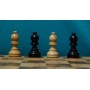 Шахові фігури "STANDARD" (EBONISED (лак))