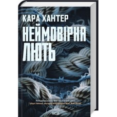 Детектив Адам Фоулі. Книга 4. Неймовірна лють - Хантер
