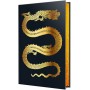 Осяйний імператор. Книга 1. Та, що стала сонцем - Шеллі Паркер-Чан