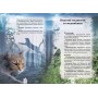 Коти вояки. Таємниці Кланів. Путівник по серії - Ерін Гантер