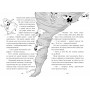 Пригоди Назара Маліка. Книга 2. Банда нутрій - Олівія Коріо