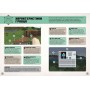 MINECRAFT. Посібник з виживання - Томас Макбраєн