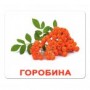 Картки Домана "Ягоди" українською Вундеркінд з пелюшок - Картки Домана