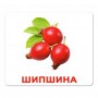 Картки Домана "Ягоди" українською Вундеркінд з пелюшок - Картки Домана
