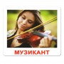 Картки Домана "Професії" українською Вундеркінд з пелюшок - Картки Домана