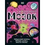 Карколомний мозок. Імпульсивні нейрони, мінливі синапси, хвостаті аксони - Ліам Дрю (9780241618233)