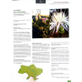 Червона книга України. Рослиний світ