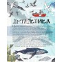 Ілюстрований атлас Тверда обкладинка - Саймон Голланд (9786177579846)