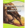 Охотники за сокровищами єнциклопедия Discovery Education