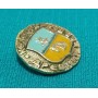 Шаховий значок "Стародавній герб - Кологрив"